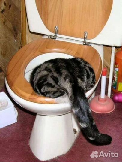 Услуги сантехника