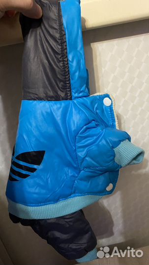 Одежда для собак