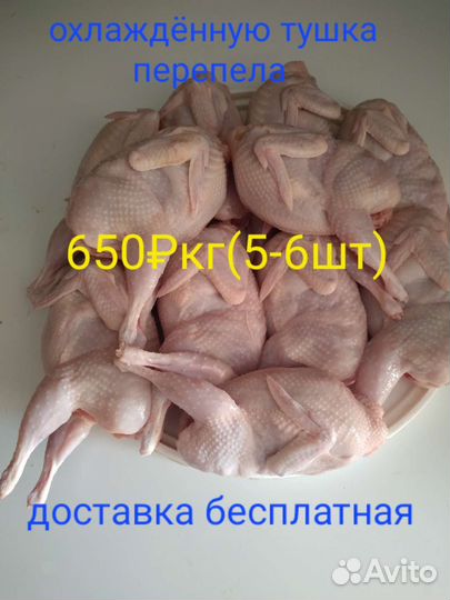 Мясо перепелиное