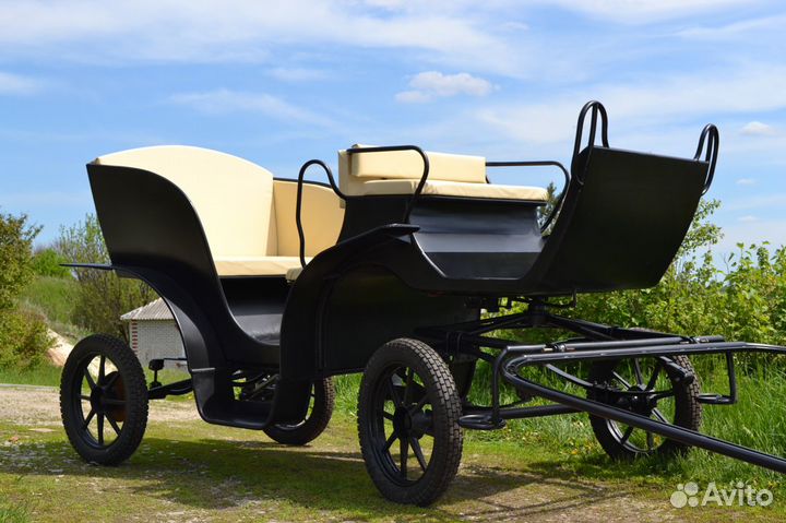 Фаэтон, карета, сани для лошадей и пони