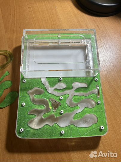 Муравьиная ферма antplanet