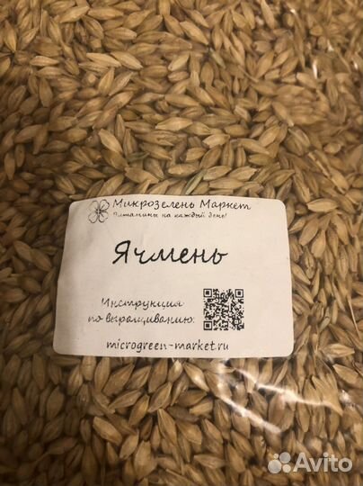 Семена микрозелени