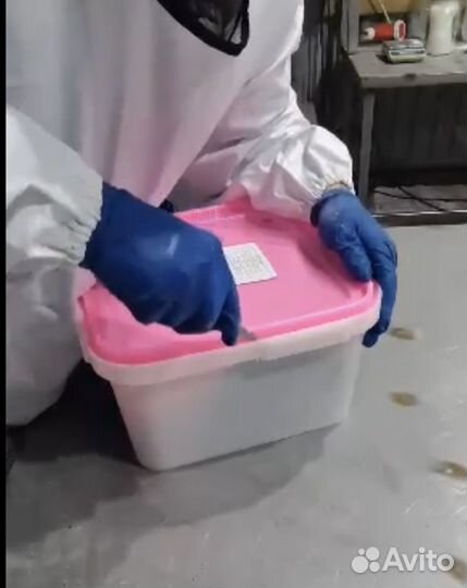 Икра красная горбуша