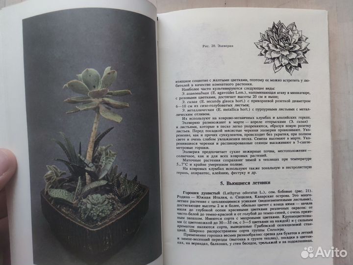 Цветоводство. Садоводство. Книги СССР