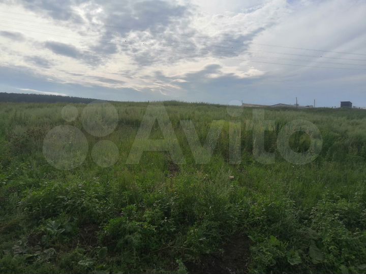 Участок 22 сот. (ИЖС)