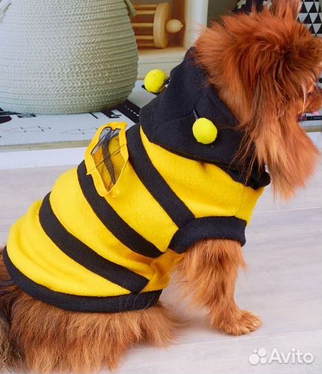 Толстовка новая, костюм пчелки, для собак и кошек