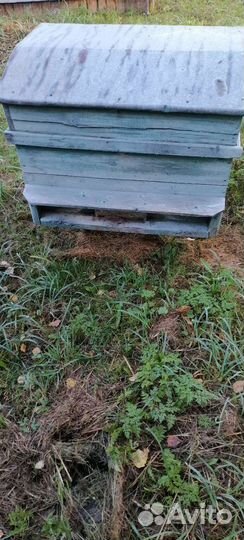 Улей лежак на 20 рамок