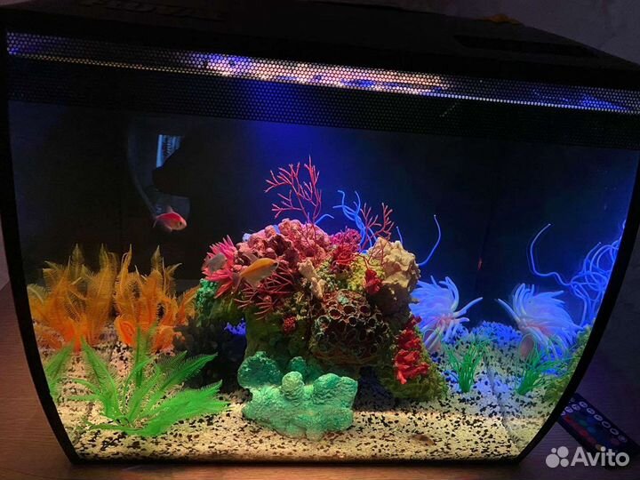 Декор для аквариума