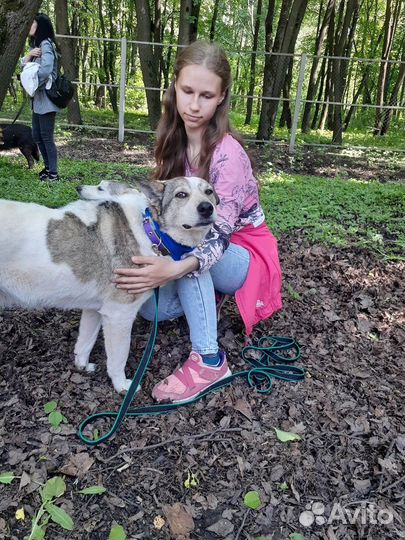 Тельма в поисках дома