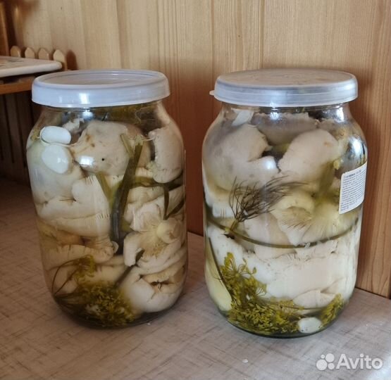 Грузди, сыроежки соленые