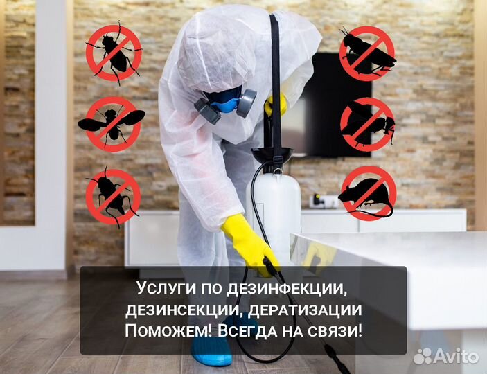 Обработка от клопов, клещей, кротов, комаров, крыс