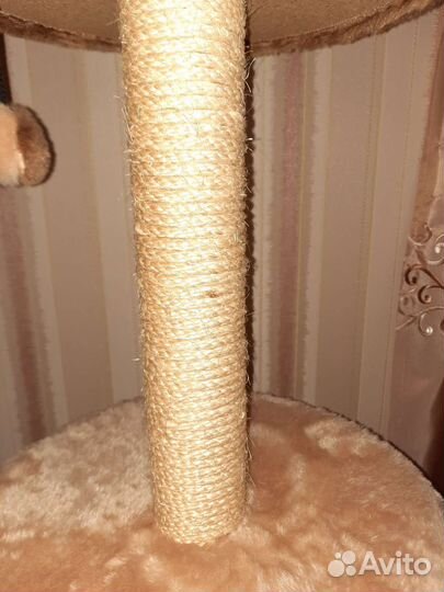 Дом когтеточка