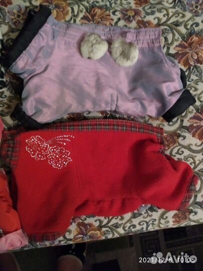 Одежда на маленьких собачек