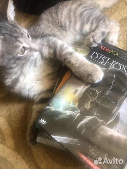 Диски для xbox 360