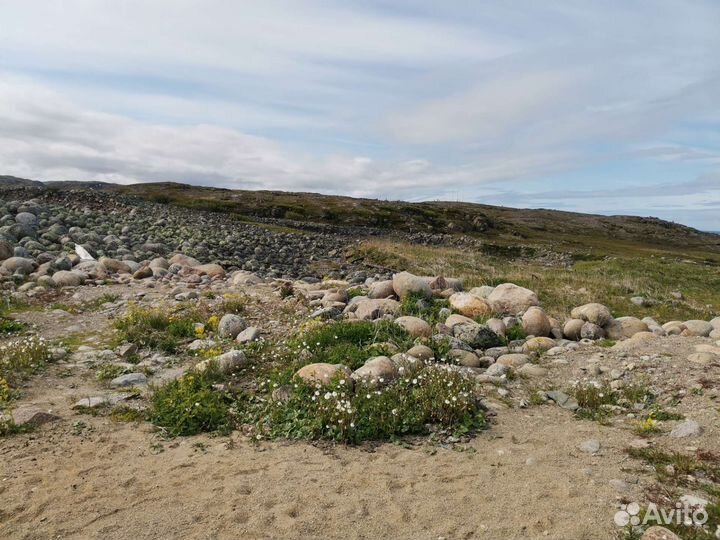 Индивидуальные экскурсии Териберка (не типовая)