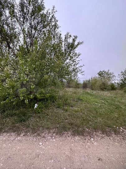 Участок 64 сот. (СНТ, ДНП)