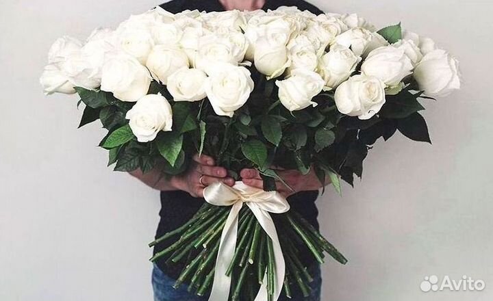 Высокие розы Гигантские розы Доставка цветов