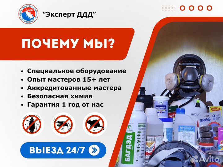 Уничтожение, дезинфекция, дезинсекция, обработка