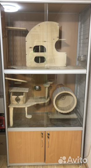 Шкаф витрина для шиншилл