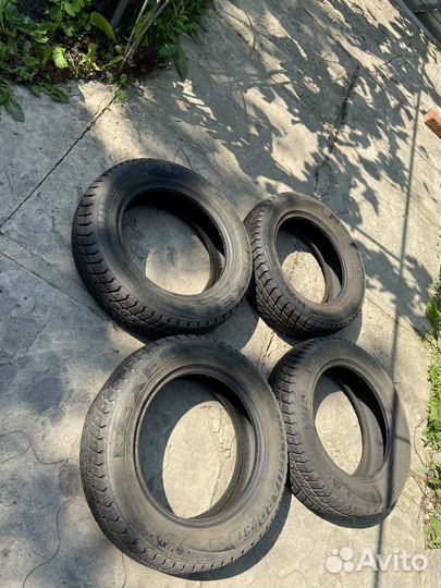 Nexen Winguard 231 185/65 R15 88T