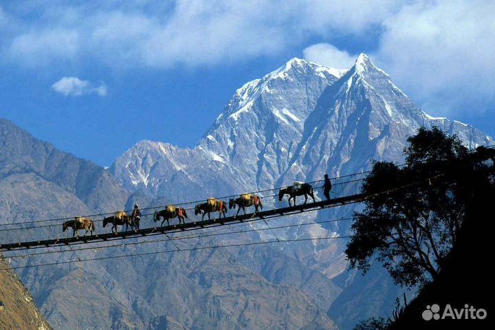 Тур перезагрузка в Непал. Путешествие мечты h-3232