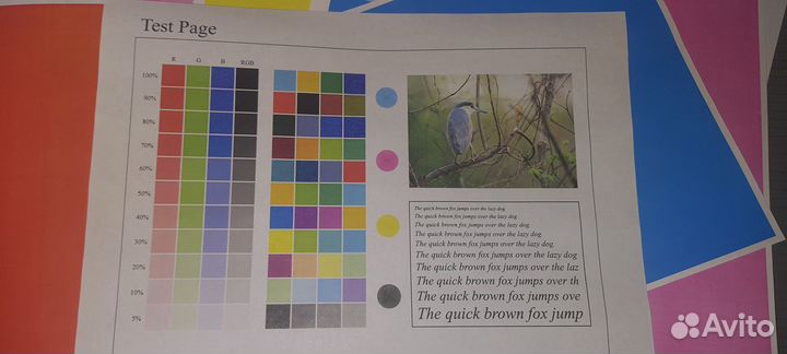 Мфу А3/А4, А3+ цветной лазерный Bizhab c284e c224e