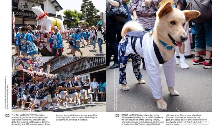 Japan's Best Friend. Культура собак в Японии