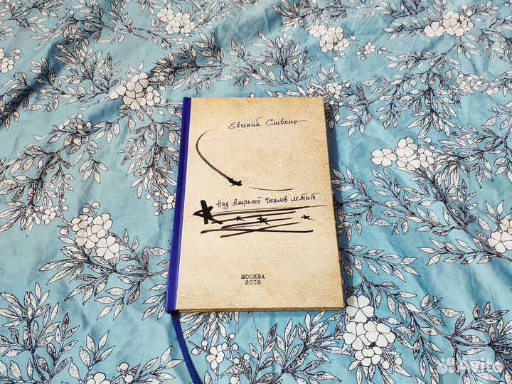 Над Америкой Чкалов летит - Сливкин