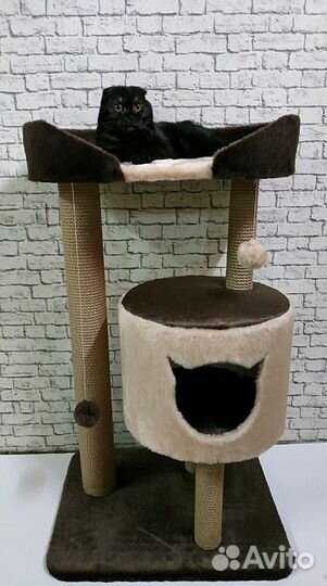 Игровой комплекс для мейнкунов Холли XL