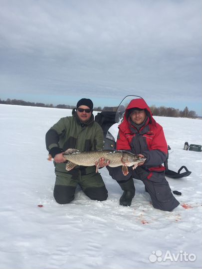 Рыбалка с гидом. Летом и Зимой
