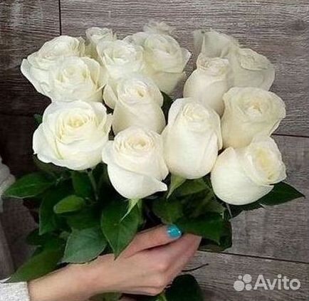 Высокие розы Гигантские Розы 150 160 170 180 190см