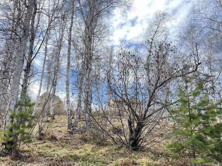 Участок 8 сот. (ИЖС)