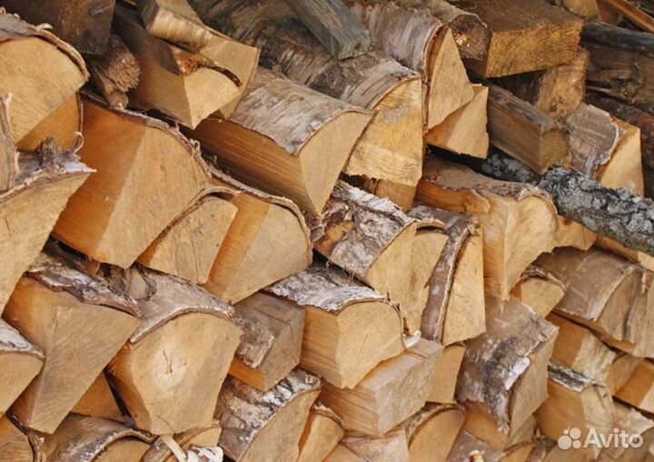 Дрова береза