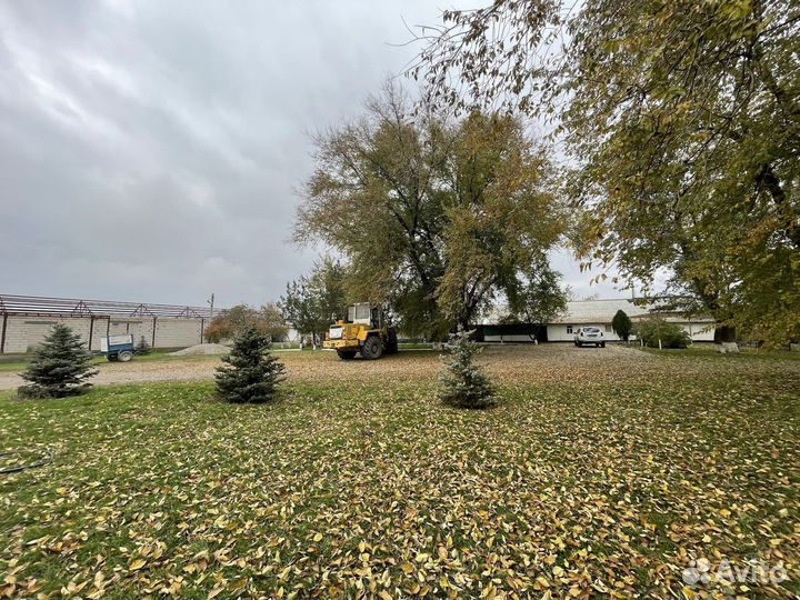 Ферма сельскохозяйственная