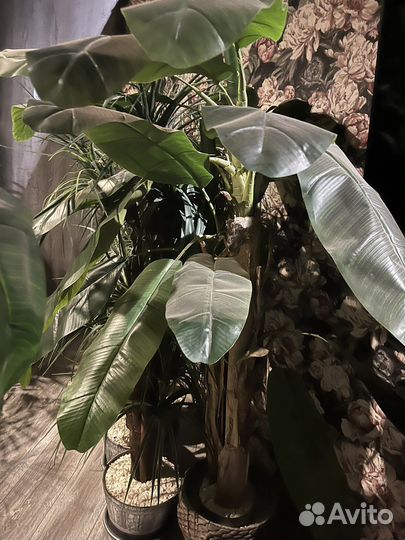 Декоративные деревья искусственные