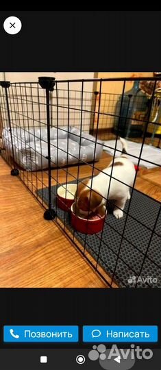 Вольер для собак в квартиру