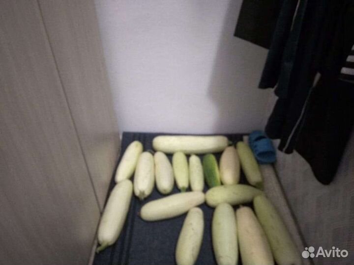 Кабачки свежие