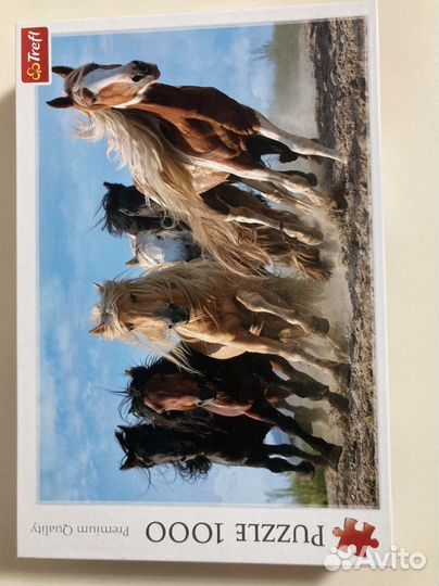 Пазлы 1000 деталей