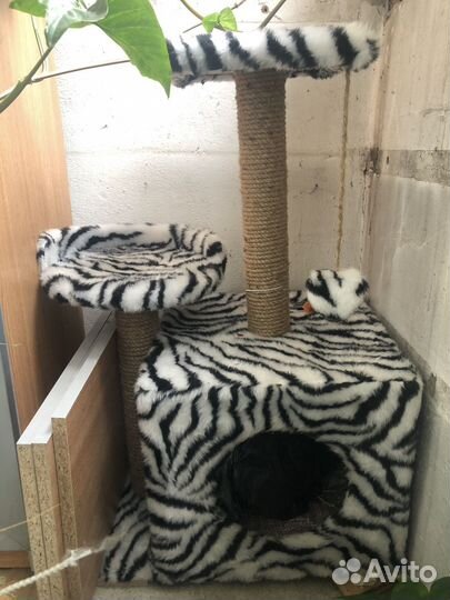 Домик для кошки