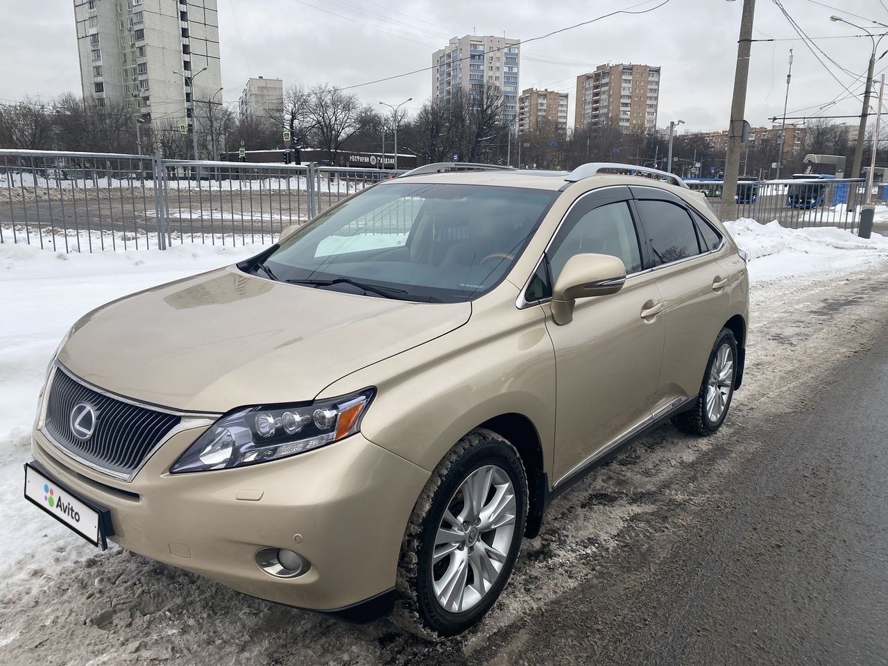 Lexus RX: фото владельца