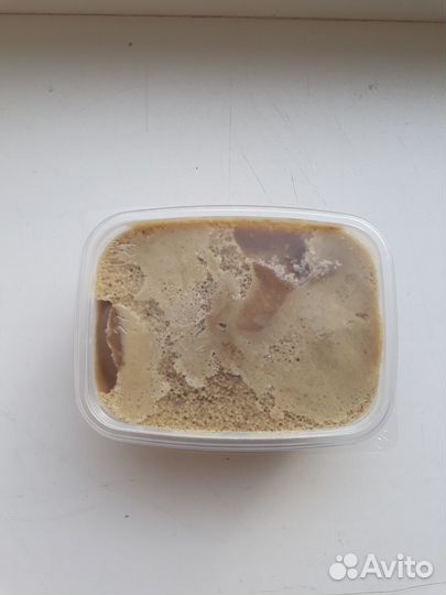 Трутневый гомогенат