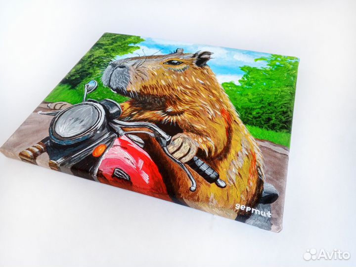 Капибайкер