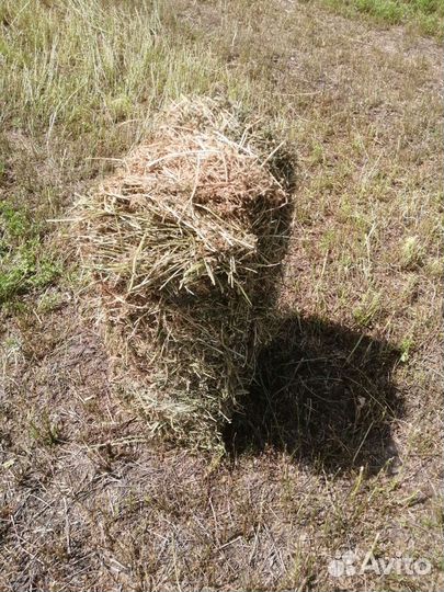 Сено в тюках