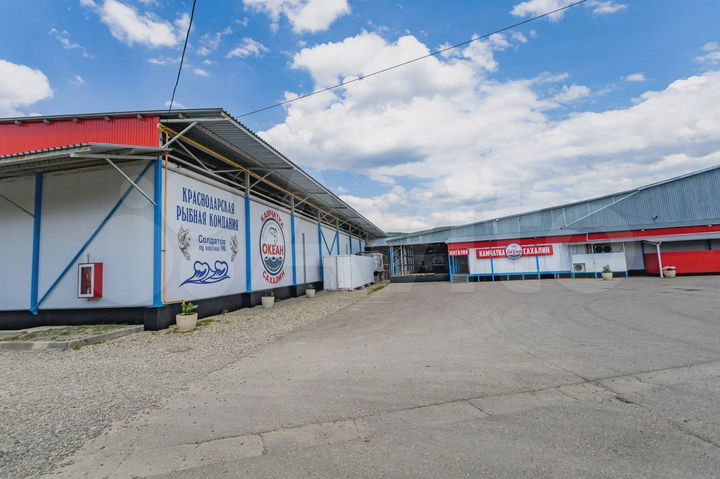 Рыбоперерабатывающее производство, 3000 м²