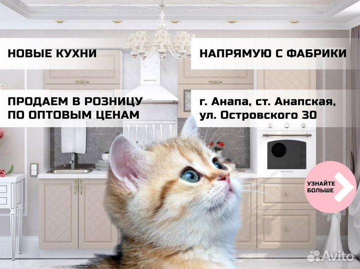 Кухонные гарнитуры. Арт.Ж005