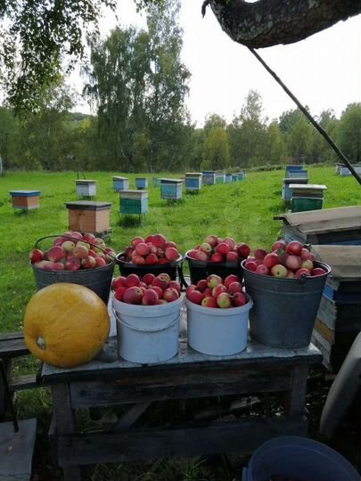 Участок 100 сот. (ИЖС)