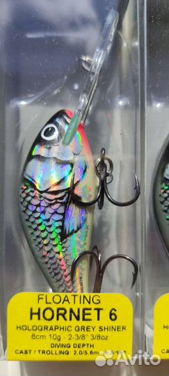 Salmo hornet 6F-HGS