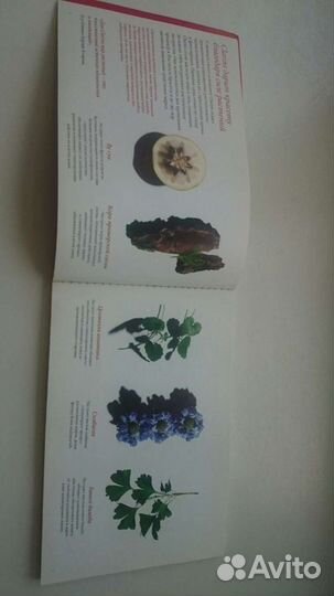 Clarins каталог косметики