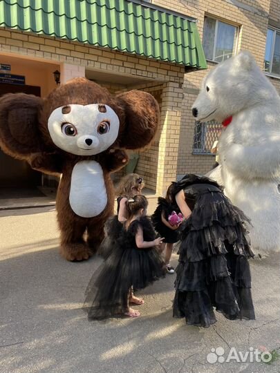 Поздравление от чебурашки