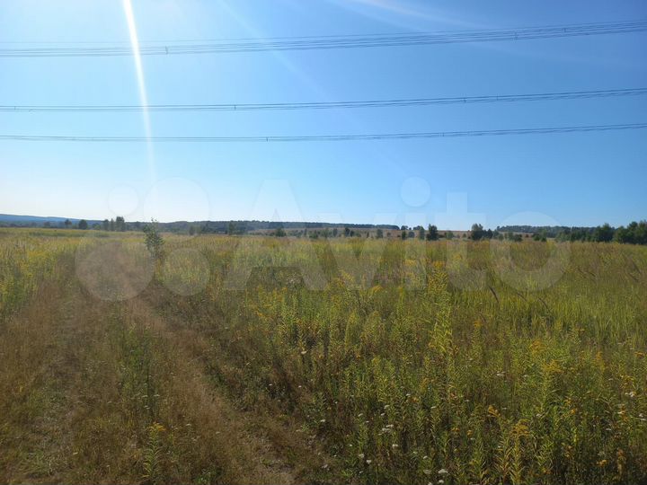 Участок 55,35 га (СНТ, ДНП)